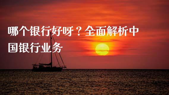 哪个银行好呀？全面解析中国银行业务_https://wap.lxcailiao.com_财务管理_第1张