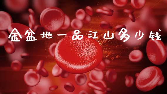 金盆地一品江山多少钱_https://wap.lxcailiao.com_融资担保_第1张