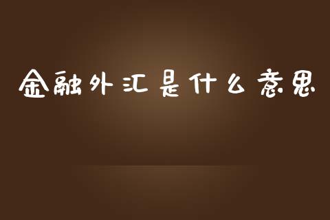 金融外汇是什么意思_https://wap.lxcailiao.com_财务管理_第1张