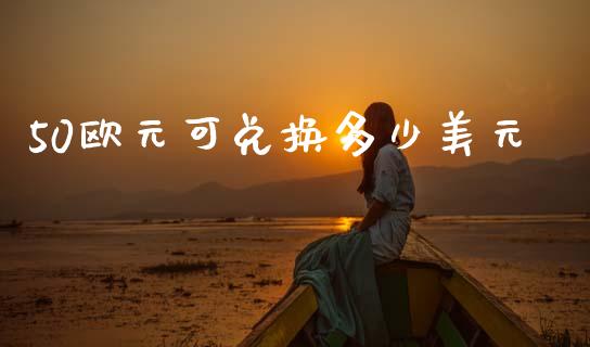 50欧元可兑换多少美元_https://wap.lxcailiao.com_金融监管_第1张