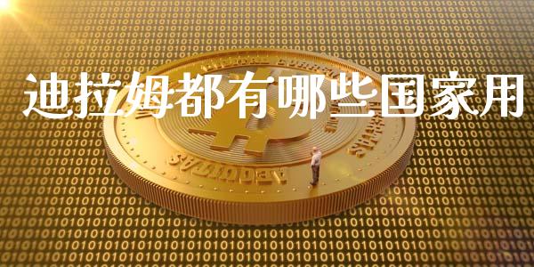 迪拉姆都有哪些国家用_https://wap.lxcailiao.com_股权投资_第1张