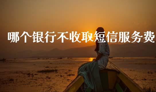 哪个银行不收取短信服务费_https://wap.lxcailiao.com_股权投资_第1张