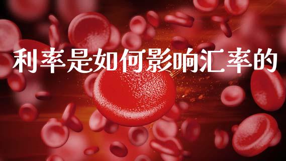 利率是如何影响汇率的_https://wap.lxcailiao.com_金融监管_第1张