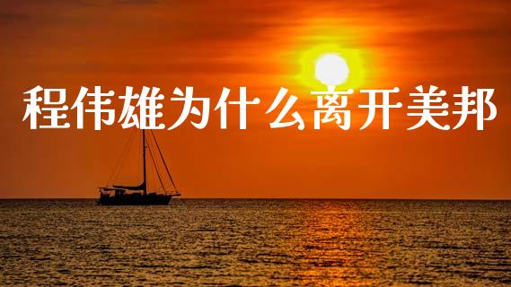 程伟雄为什么离开美邦_https://wap.lxcailiao.com_财务管理_第1张