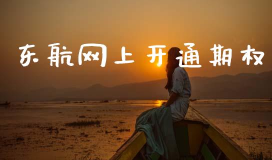 东航网上开通期权_https://wap.lxcailiao.com_融资担保_第1张