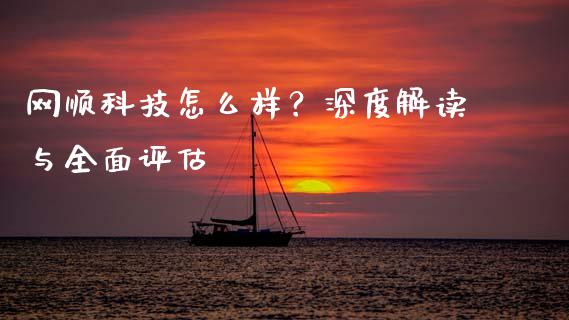 网顺科技怎么样？深度解读与全面评估_https://wap.lxcailiao.com_股权投资_第1张