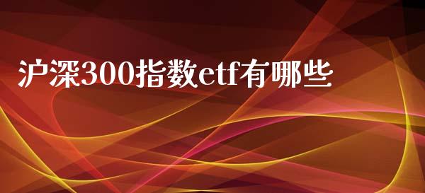 沪深300指数etf有哪些_https://wap.lxcailiao.com_融资担保_第1张