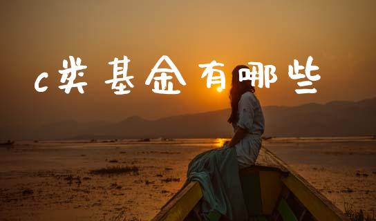 c类基金有哪些_https://wap.lxcailiao.com_金融监管_第1张