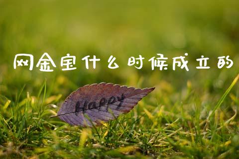网金宝什么时候成立的_https://wap.lxcailiao.com_融资担保_第1张