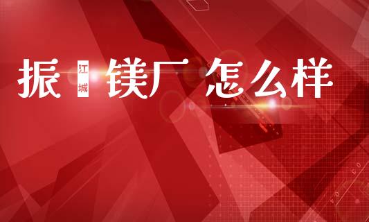 振鑫镁厂 怎么样_https://wap.lxcailiao.com_融资担保_第1张