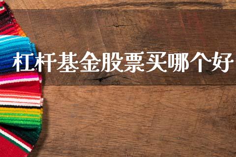 杠杆基金股票买哪个好_https://wap.lxcailiao.com_融资担保_第1张
