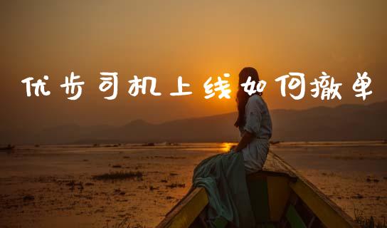 优步司机上线如何撤单_https://wap.lxcailiao.com_融资担保_第1张