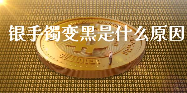 银手镯变黑是什么原因_https://wap.lxcailiao.com_融资担保_第1张
