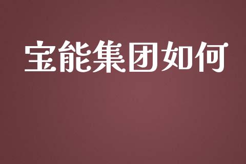 宝能集团如何_https://wap.lxcailiao.com_融资担保_第1张