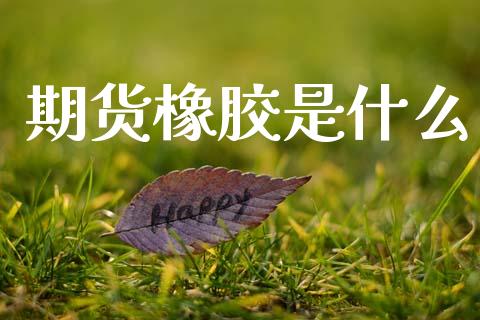 期货橡胶是什么_https://wap.lxcailiao.com_股权投资_第1张