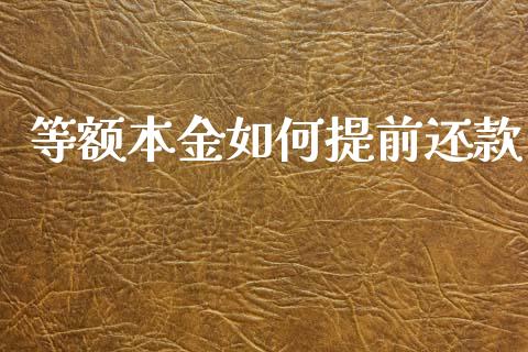 等额本金如何提前还款_https://wap.lxcailiao.com_财务管理_第1张