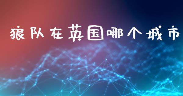 狼队在英国哪个城市_https://wap.lxcailiao.com_金融监管_第1张