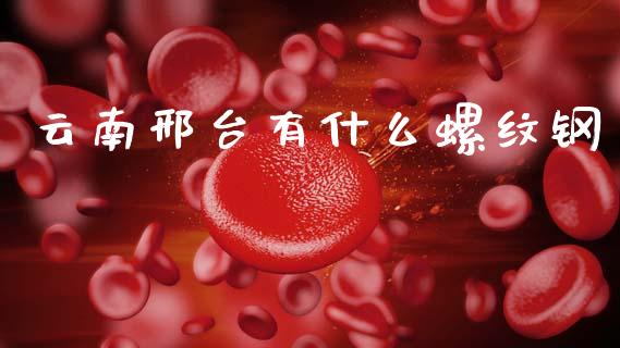 云南邢台有什么螺纹钢_https://wap.lxcailiao.com_融资担保_第1张