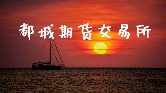 都城期货交易所_https://wap.lxcailiao.com_财务管理_第1张