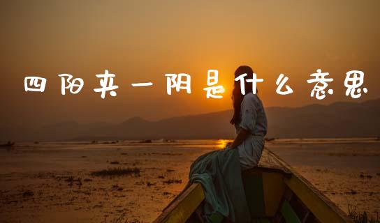 四阳夹一阴是什么意思_https://wap.lxcailiao.com_股权投资_第1张