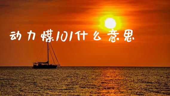动力煤101什么意思_https://wap.lxcailiao.com_股权投资_第1张