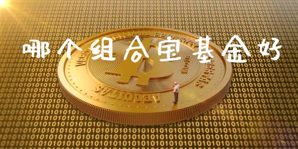 哪个组合宝基金好_https://wap.lxcailiao.com_融资担保_第1张