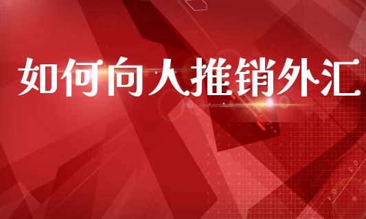 如何向人推销外汇_https://wap.lxcailiao.com_金融监管_第1张