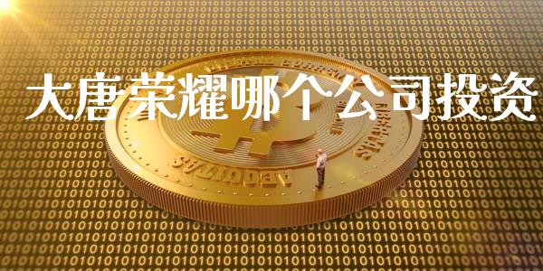 大唐荣耀哪个公司投资_https://wap.lxcailiao.com_金融监管_第1张