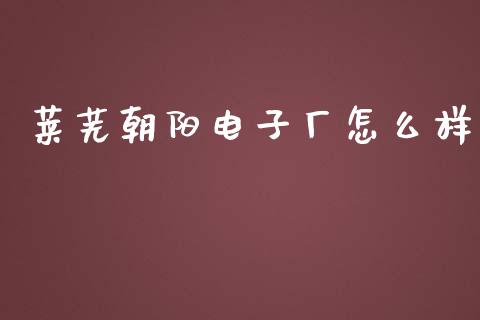 莱芜朝阳电子厂怎么样_https://wap.lxcailiao.com_股权投资_第1张