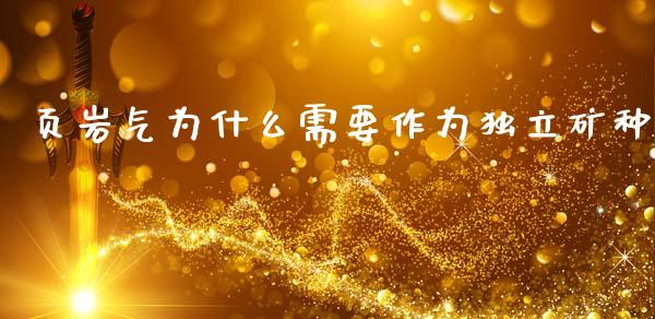 页岩气为什么需要作为独立矿种_财务管理_第1张_金融监管_融资担保_财务管理_股权投资 页岩气为什么需要作为独立矿种_https://wap.lxcailiao.com_财务管理_第1张