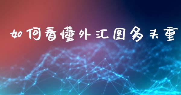 如何看懂外汇图多头重_https://wap.lxcailiao.com_融资担保_第1张