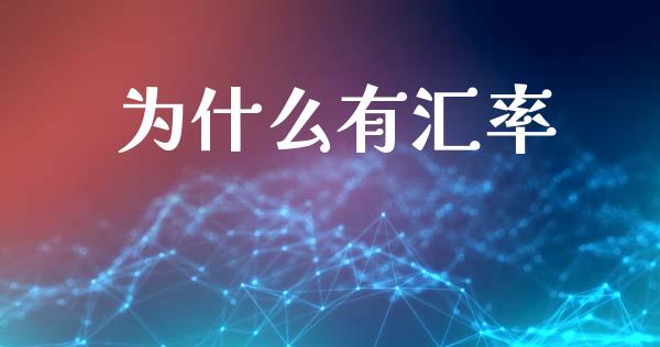 为什么有汇率_https://wap.lxcailiao.com_财务管理_第1张