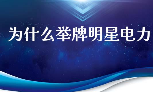 为什么举牌明星电力_https://wap.lxcailiao.com_融资担保_第1张