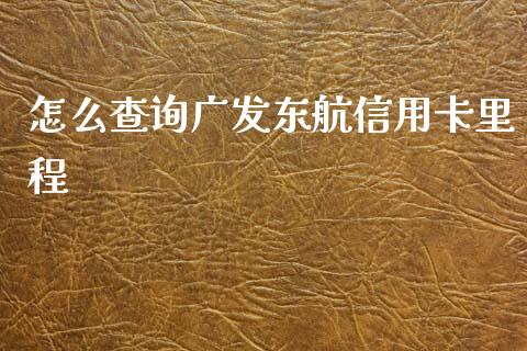 怎么查询广发东航信用卡里程_https://wap.lxcailiao.com_财务管理_第1张