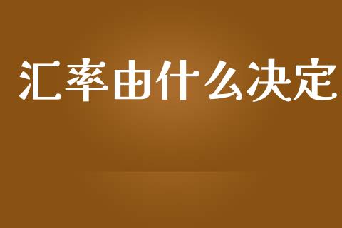 汇率由什么决定_https://wap.lxcailiao.com_融资担保_第1张