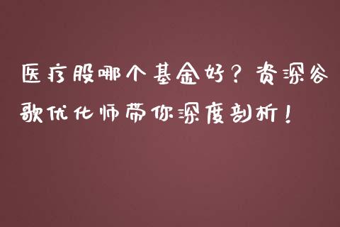 医疗股哪个基金好？资深谷歌优化师带你深度剖析！_https://wap.lxcailiao.com_金融监管_第1张
