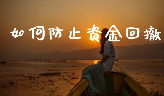 如何防止资金回撤_https://wap.lxcailiao.com_金融监管_第1张