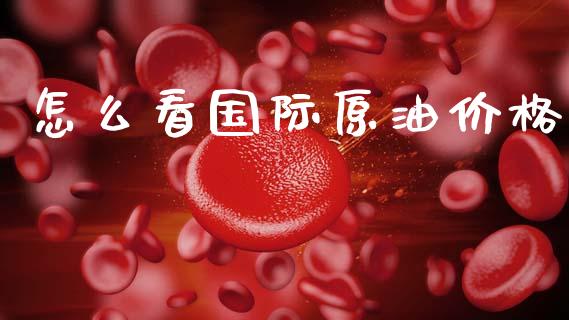怎么看国际原油价格_https://wap.lxcailiao.com_融资担保_第1张