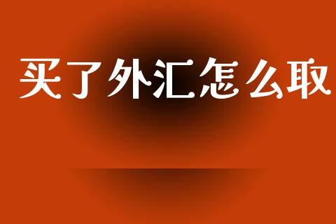 买了外汇怎么取_https://wap.lxcailiao.com_融资担保_第1张