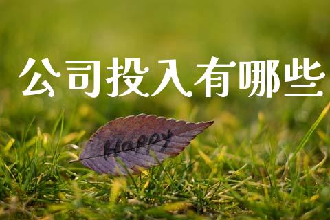 公司投入有哪些_https://wap.lxcailiao.com_股权投资_第1张