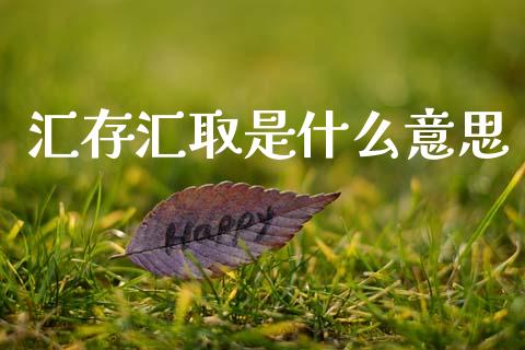 汇存汇取是什么意思_https://wap.lxcailiao.com_金融监管_第1张