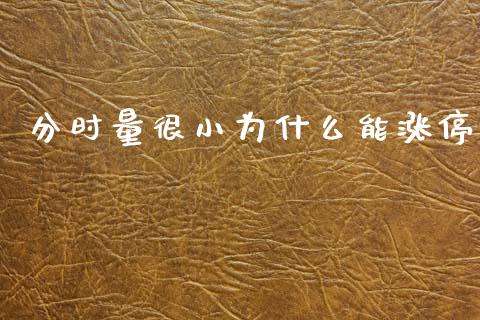 分时量很小为什么能涨停_https://wap.lxcailiao.com_金融监管_第1张