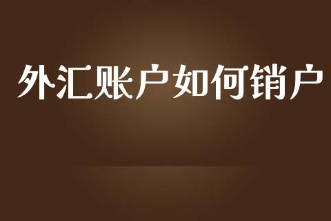 外汇账户如何销户_https://wap.lxcailiao.com_股权投资_第1张