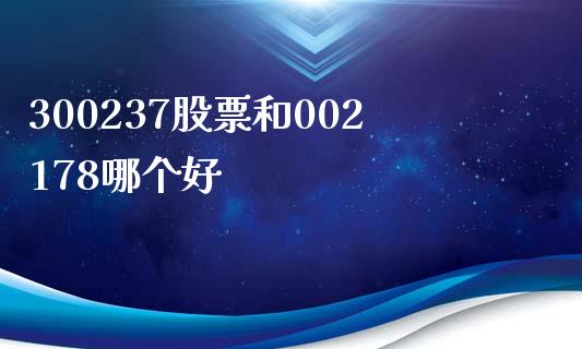 300237股票和002178哪个好_https://wap.lxcailiao.com_财务管理_第1张