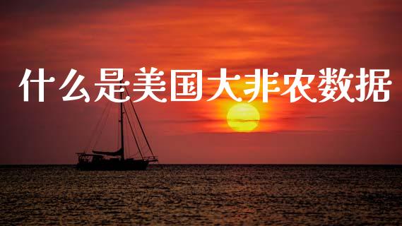 什么是美国大非农数据_https://wap.lxcailiao.com_股权投资_第1张