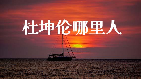 杜坤伦哪里人_https://wap.lxcailiao.com_金融监管_第1张