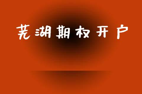 芜湖期权开户_https://wap.lxcailiao.com_融资担保_第1张