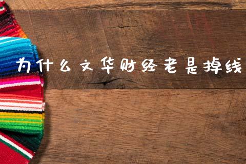 为什么文华财经老是掉线_https://wap.lxcailiao.com_融资担保_第1张