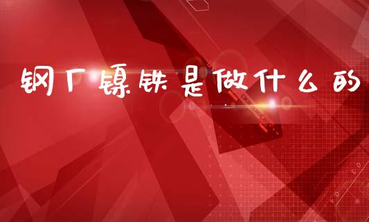 钢厂镍铁是做什么的_https://wap.lxcailiao.com_融资担保_第1张