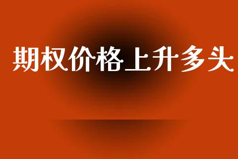 期权价格上升多头_https://wap.lxcailiao.com_金融监管_第1张